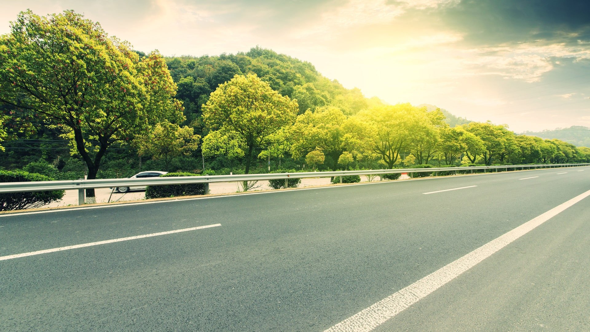 Road with green trees