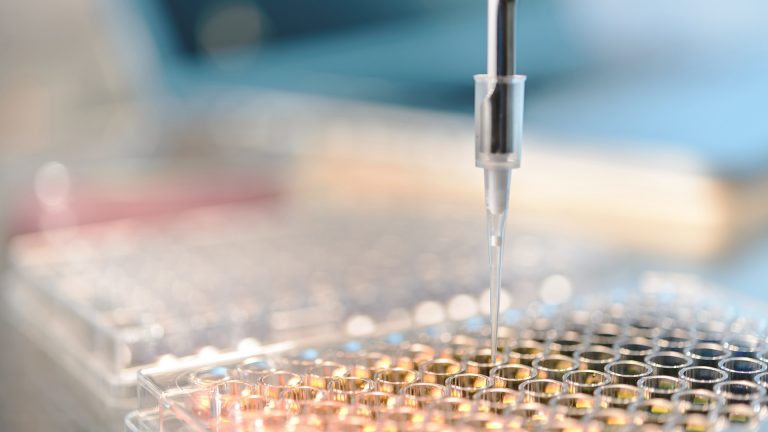 Laboratory dropper in focus