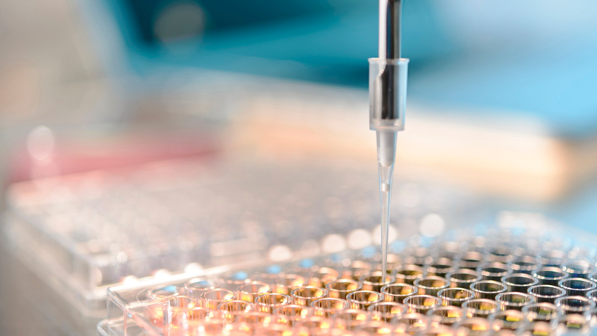 Laboratory dropper in focus