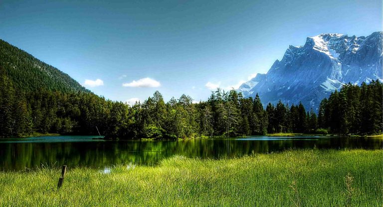 Panoram of the forrest and mountains