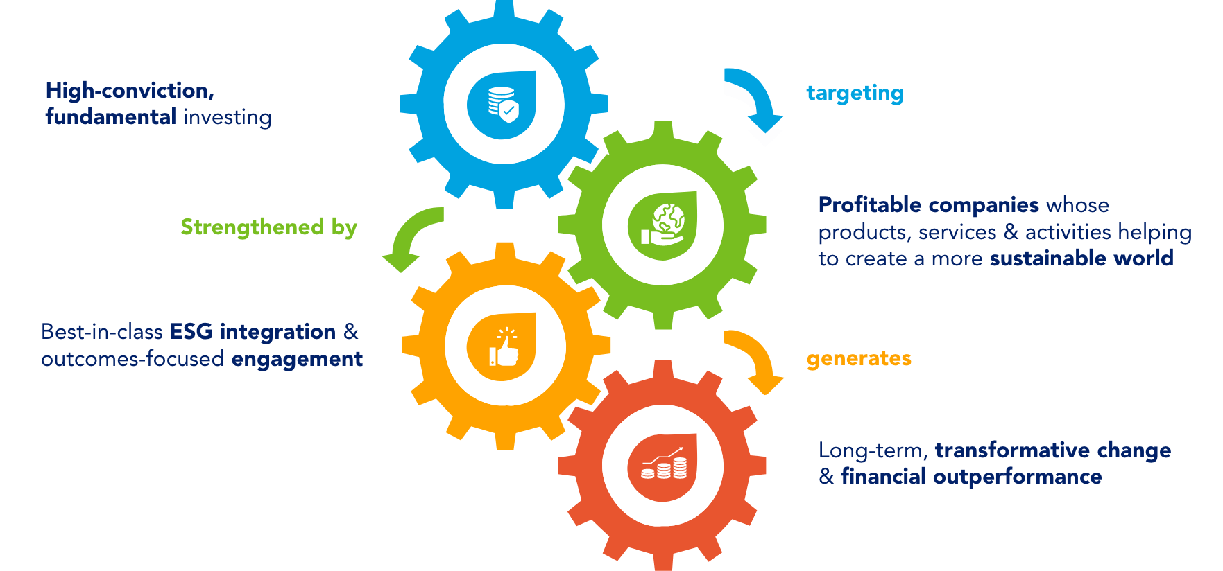 SGE Investment philosophy infographic