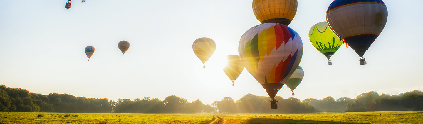 Colorful sightseeing balloons flying over the forest