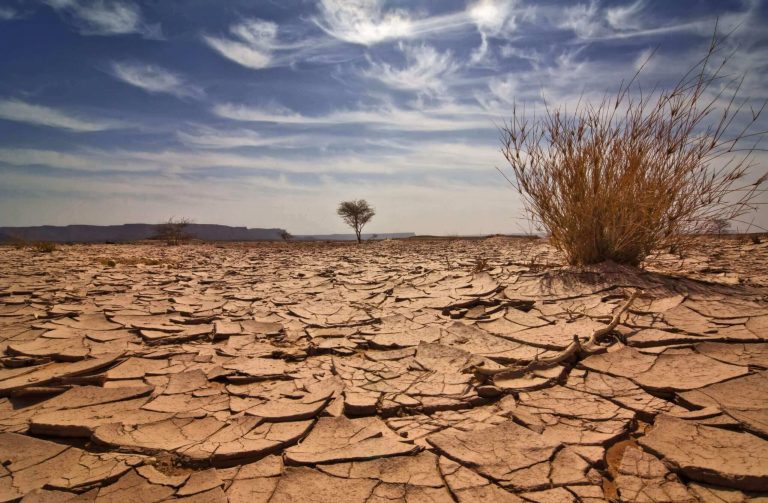 Drought landscape