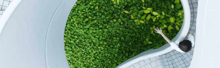 Woman touching leaves floating in water