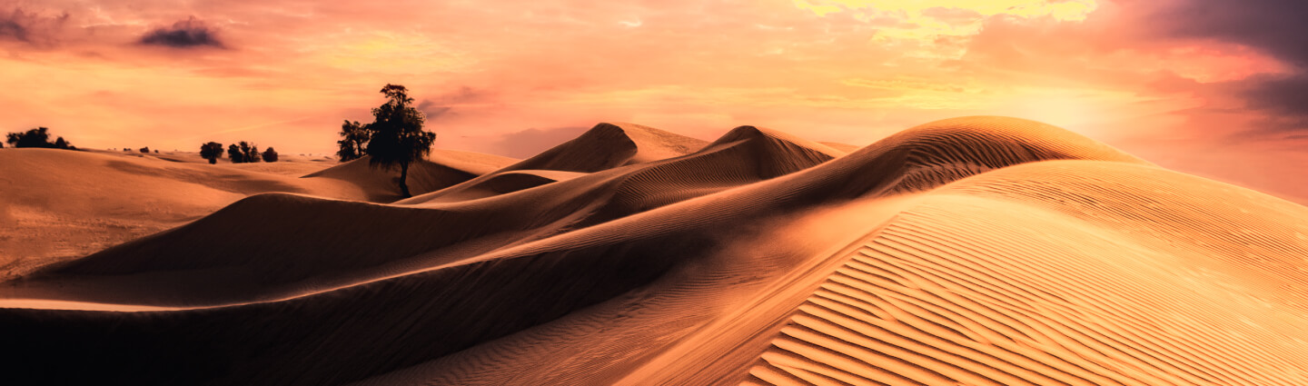 Sand dunes in the sun