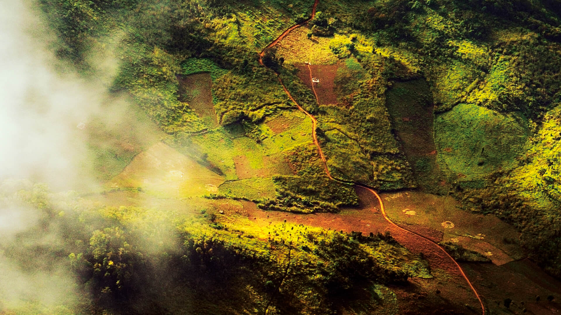 Aerial view of farmland and forests