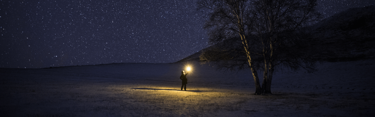 A wanderer illuminating a tree on a dark night