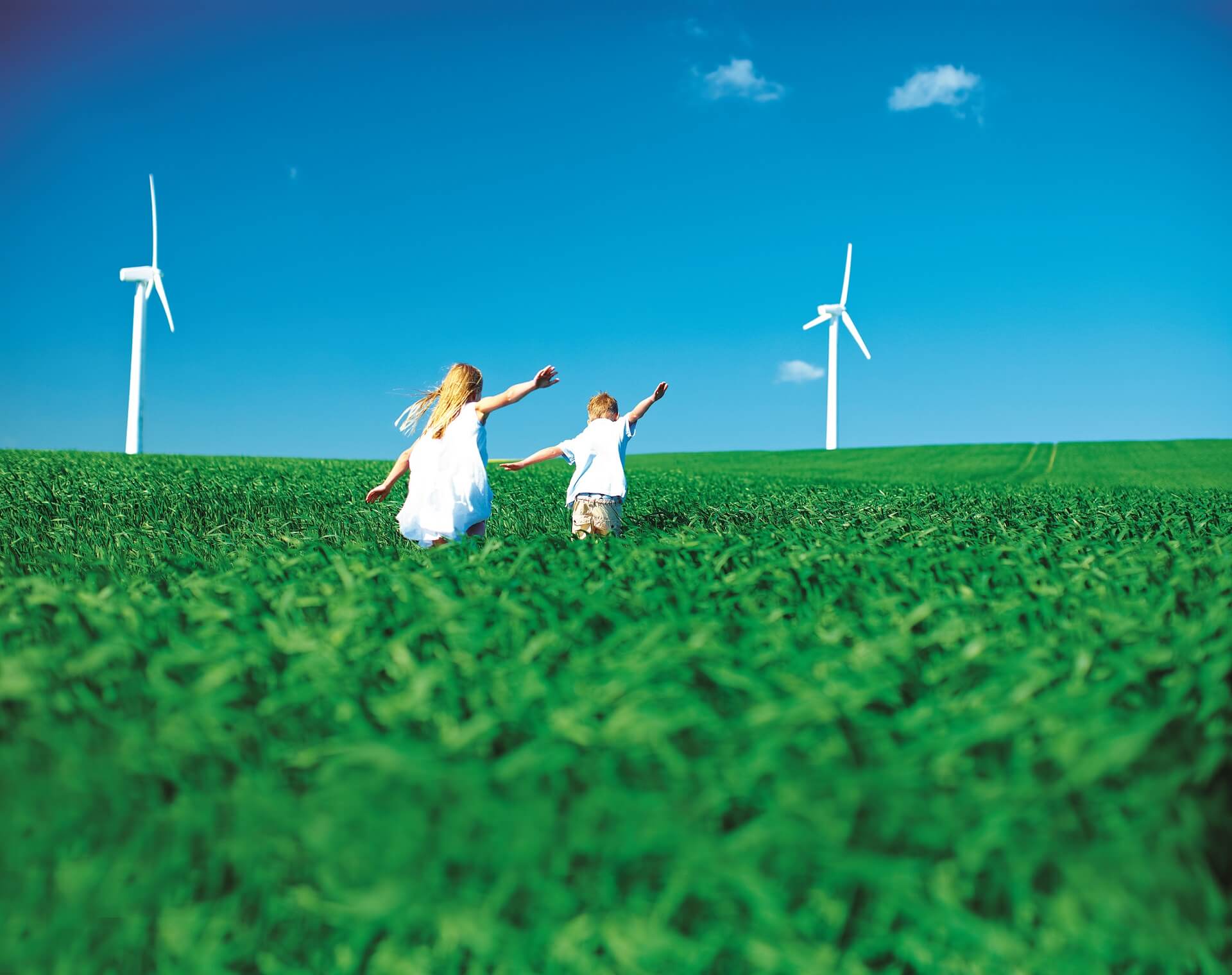 Green field with wind turbines