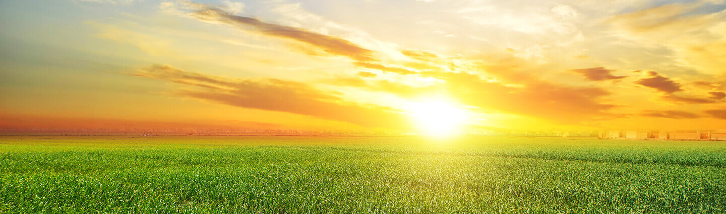 Beautiful sunset