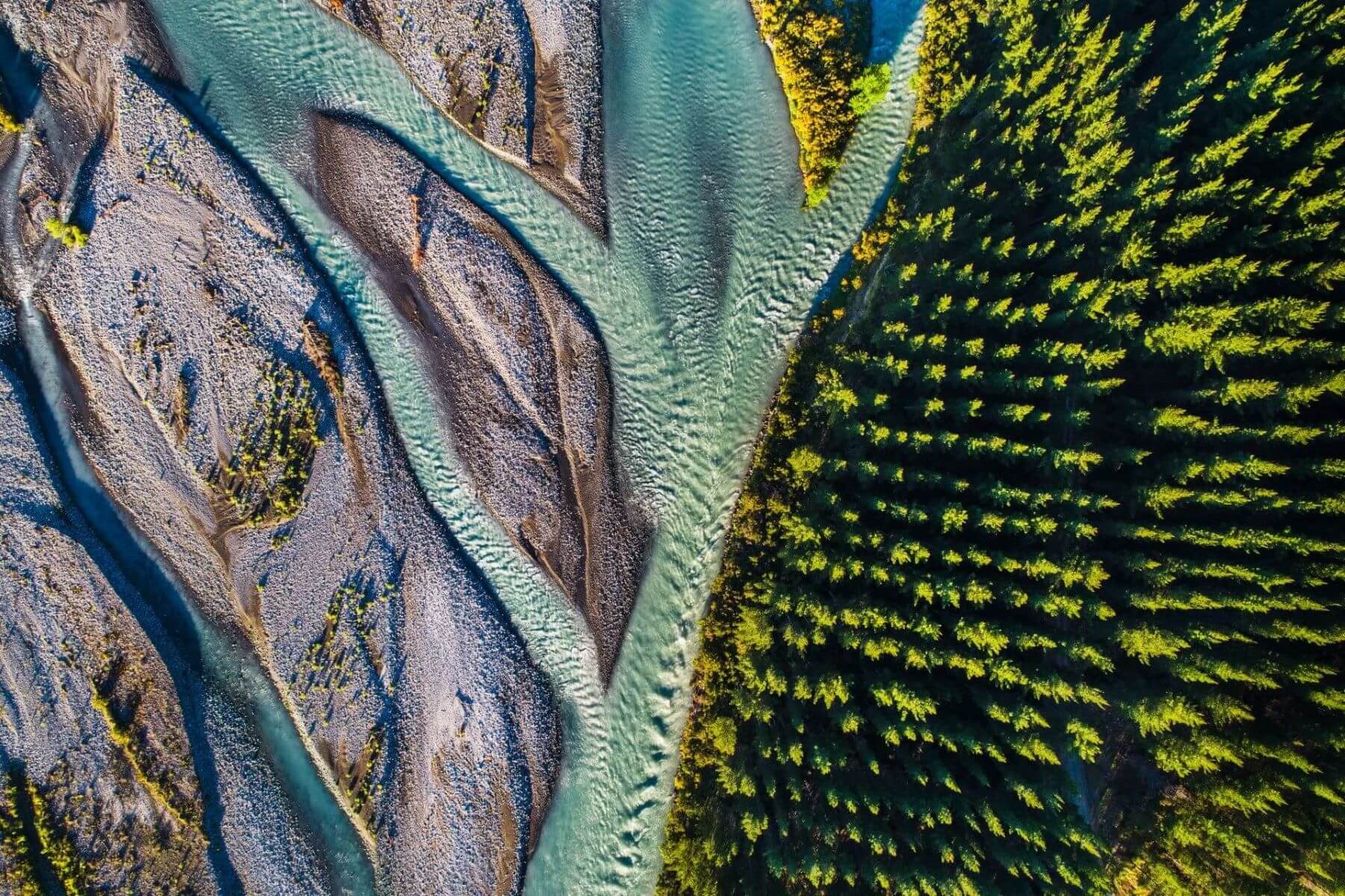 Aerial view of the river flowing next to the pine forest