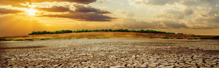 Sunset on the steppe landscape