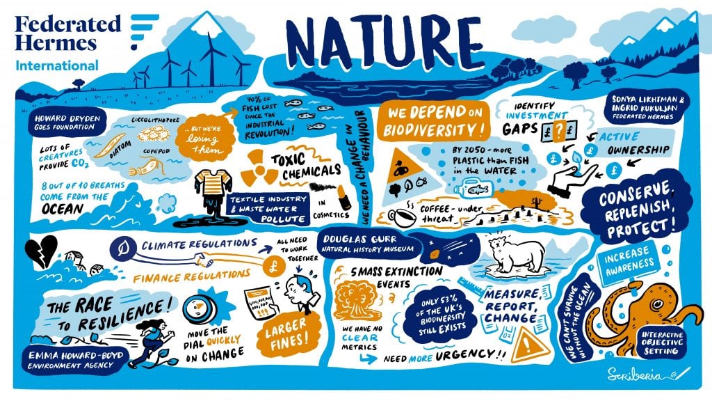 Nature infographic