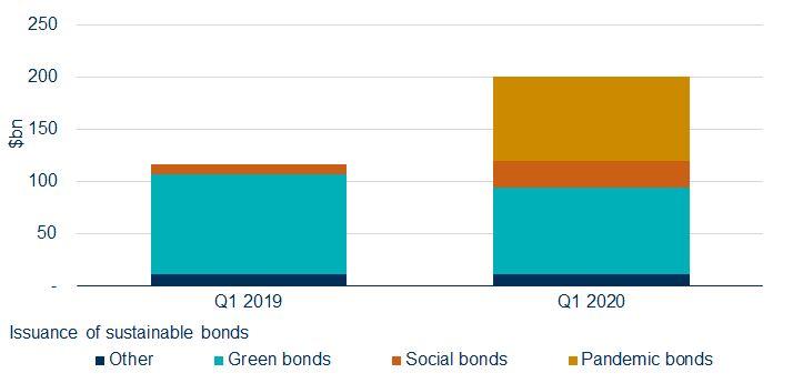 Diagram related to sustainable bond issuance
