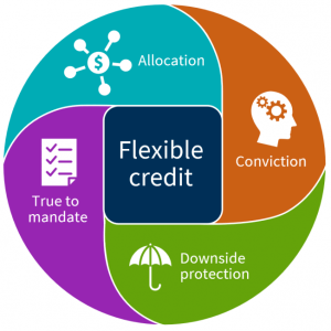 Colorful circle diagram related to flexible credit