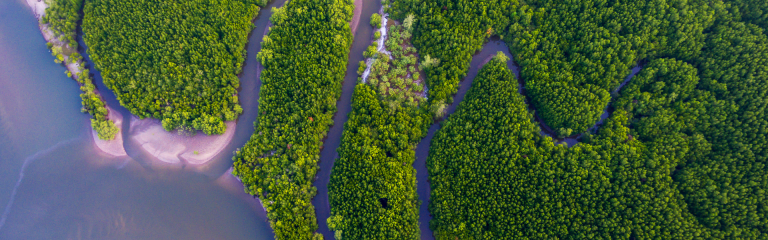 Green island with rivers