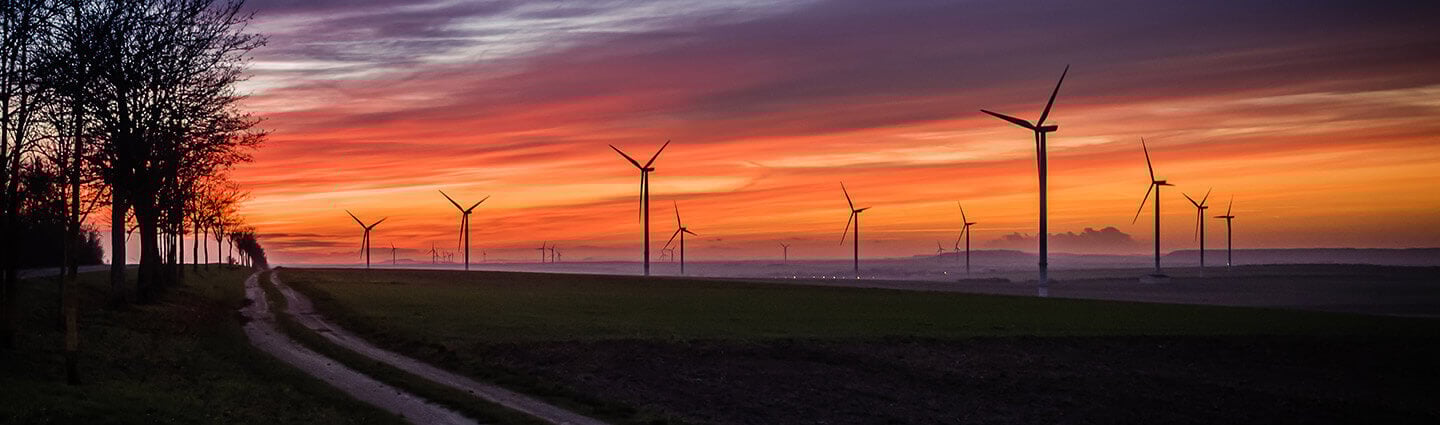 Windmills field at sunset