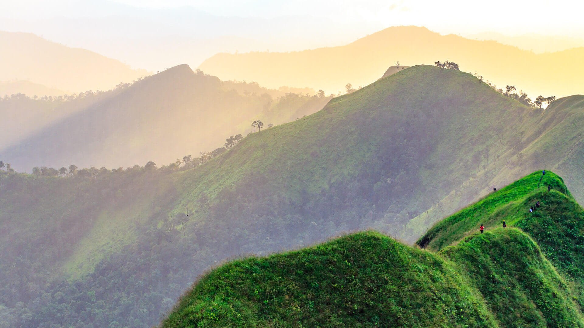 Hills in the Sun