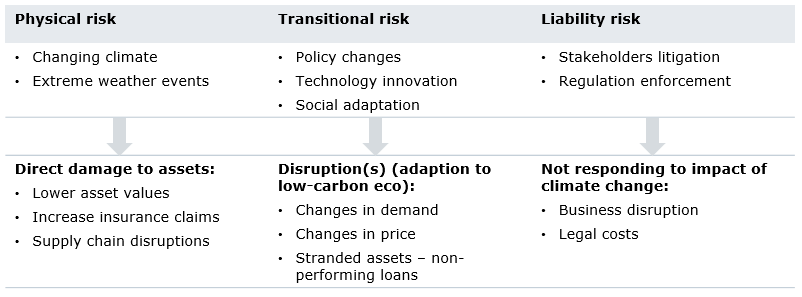 Graphique showing Taxonomy of climate risks