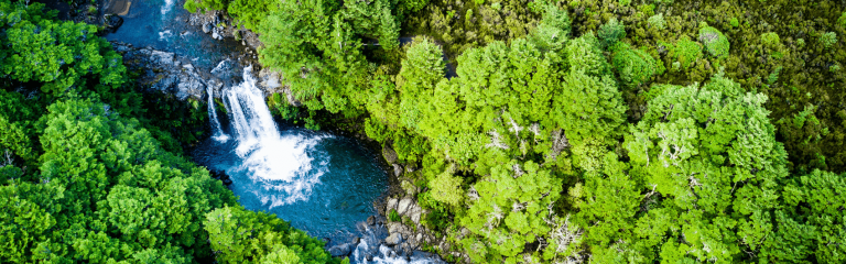 A waterfall surrounded by a forest