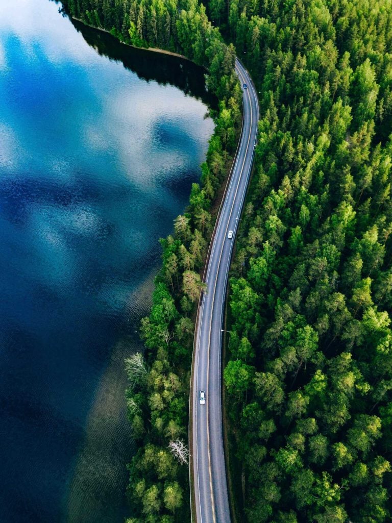 Road in the forest near the lake