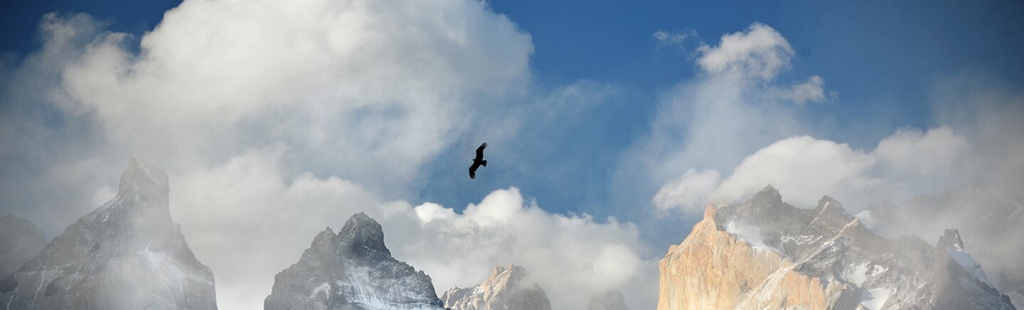 A black bird flying among the clouds over the snow-capped peaks of the mountains