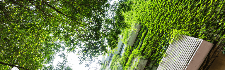 Block and balconies overgrown with climbers