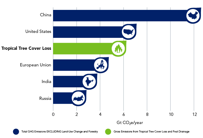 Tropical deforestation ranks third in CO2e emissions