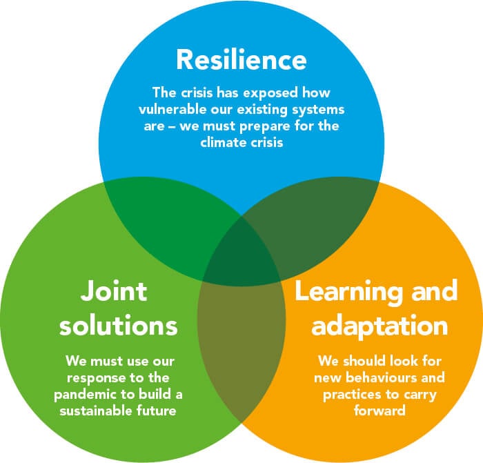 Chart showing connecting Covid-19 to the climate emergency