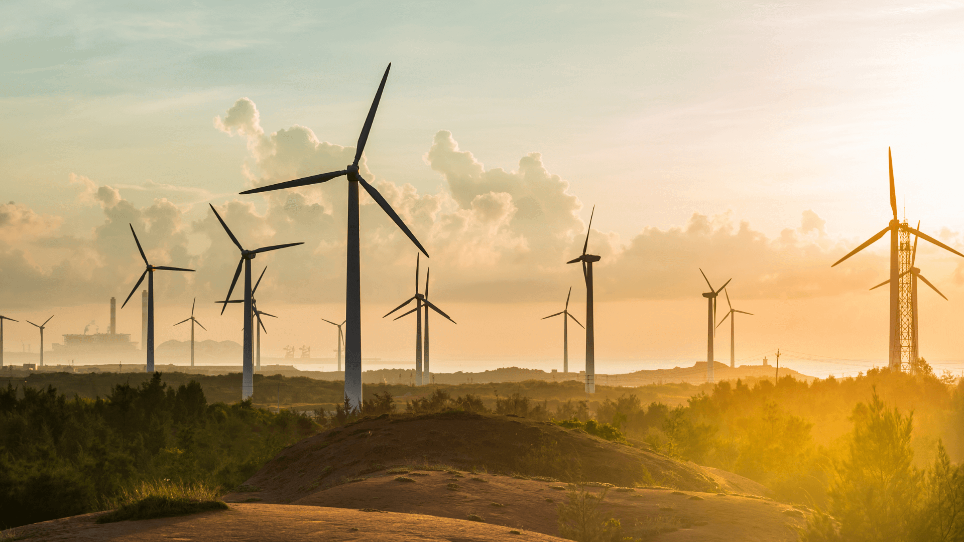 A farm of windmills producing electricity
