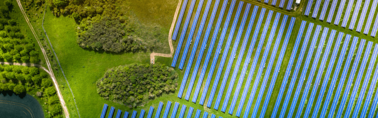 Solar panel farm around greenery
