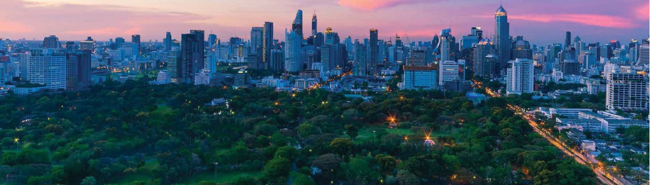 Large park next to the city with modern skyscrapers at sunset