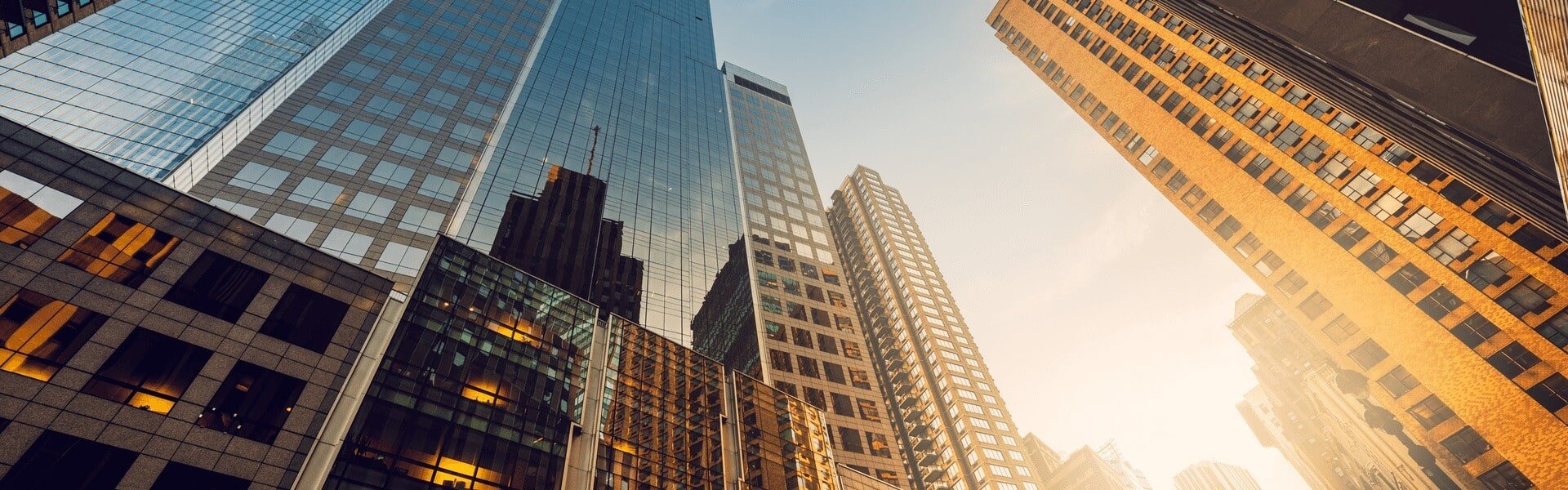 Glass skyscrapers