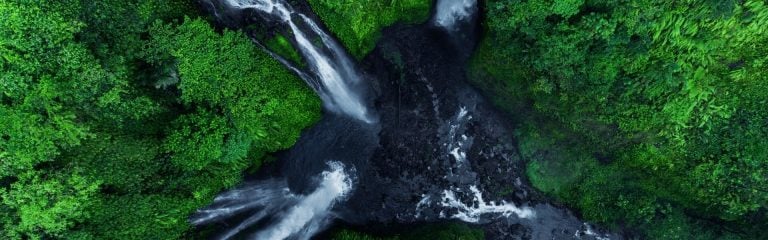 Waterfall among green trees