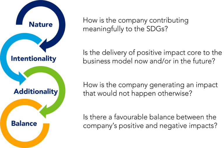 Impact opportunities equity investment process infographic