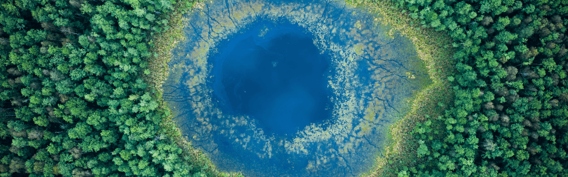 Lake in the middle of the forest - bird's eye view
