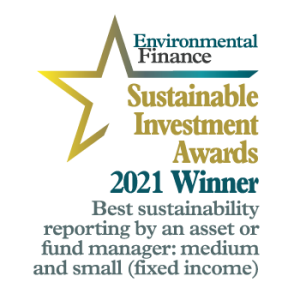 Sustainable Investment Awards 2021