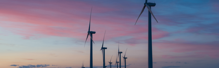 View of the windmill farm