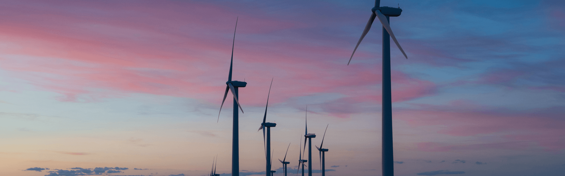 View of the windmill farm