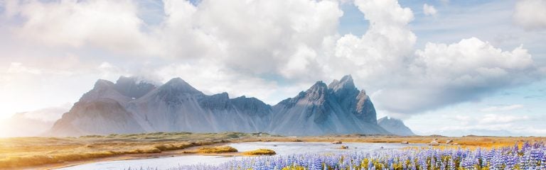 Snow-capped mountain peaks seen from the meadow