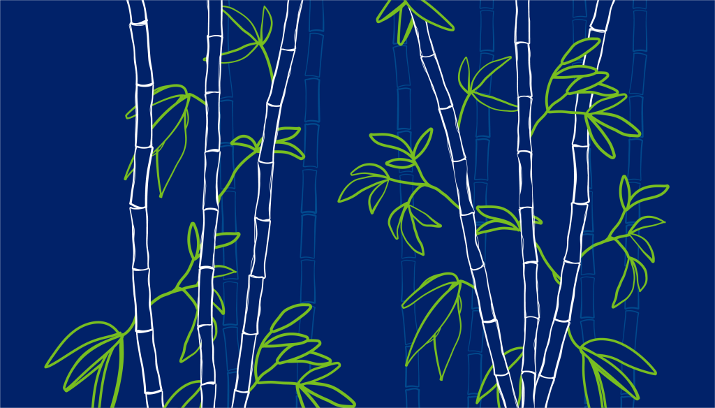 Bamboo Illustration