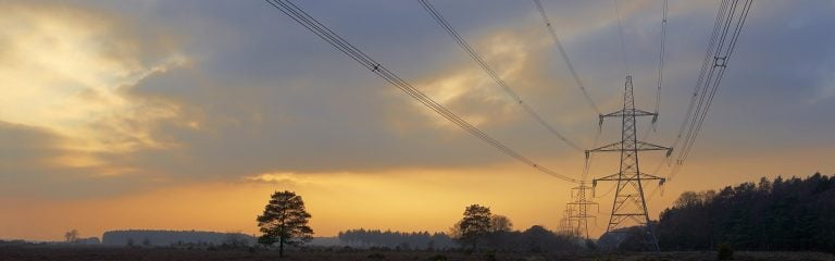 High voltage lines against the background of forests