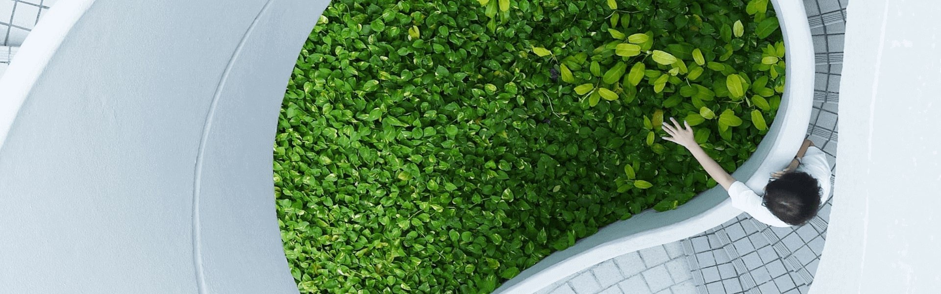 Bathtube with green leaves