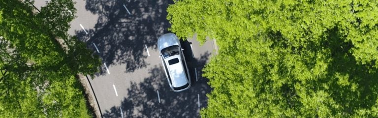 The car between the trees