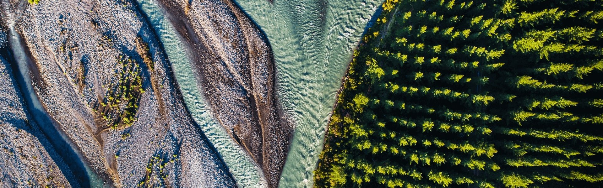 Mountain stream and forest