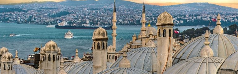 Monumental roofs with ocean and citie in the background