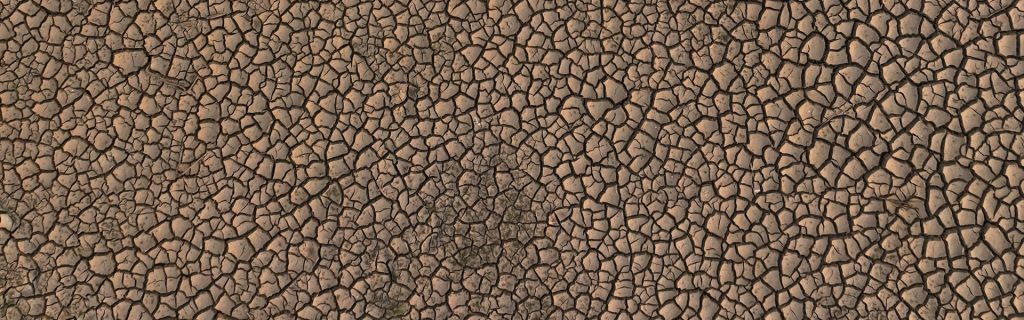 Cracked dry earth