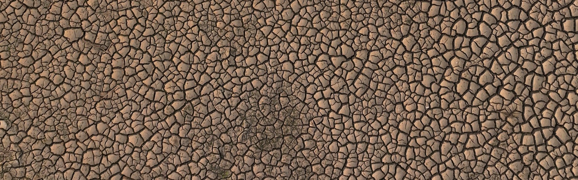 Cracked dry earth