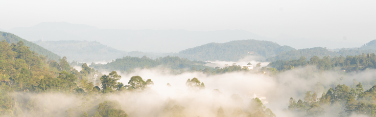 A landscape view of mountains topped with trees, shrouded in mist