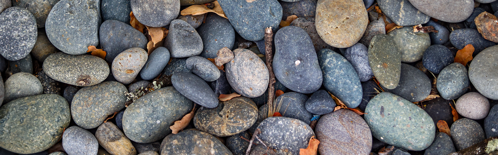 sticks and stones