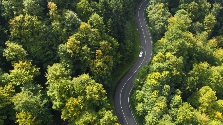 a winding road through a green forest with a single car visible